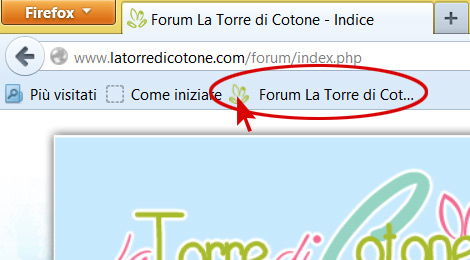 Novità su la Torre di Cotone: benvenuto Forum!
